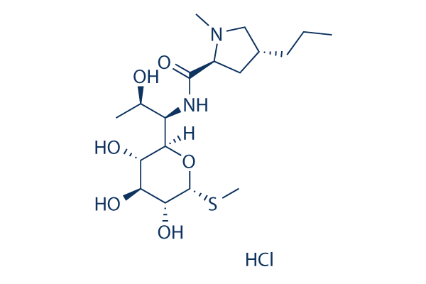 CLINDAMYCIN EP IMPURITY A 